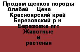Продам щенков породы “Алабай“ › Цена ­ 5 000 - Красноярский край, Березовский р-н, Березовка пгт Животные и растения » Собаки   